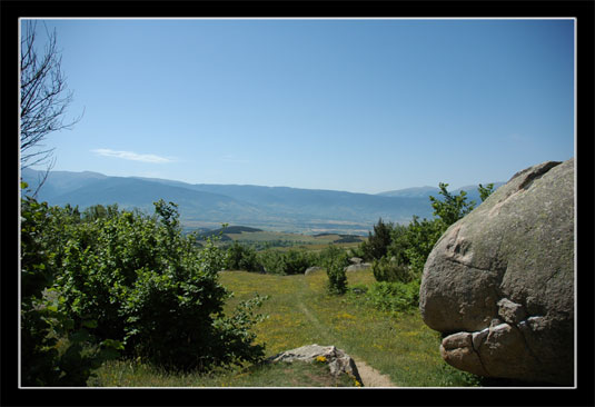 Tagassonne