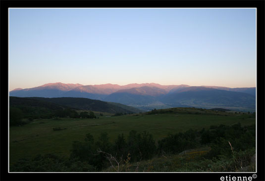 Tagassonne