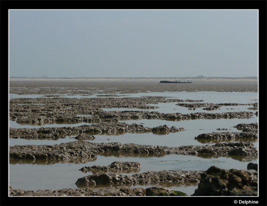 Vélo autour de La Rochelle