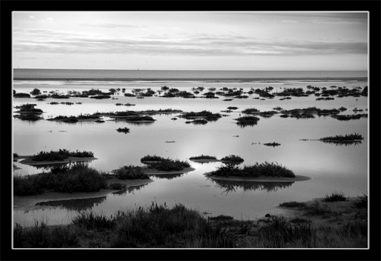 Gruissan B&W