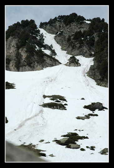 Couloir d'avalanches