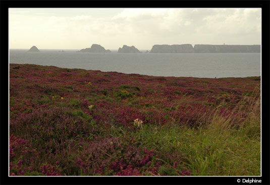 Vacances en Bretagne - presqu'île de Crozon