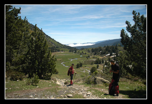 Vue sur la jasse