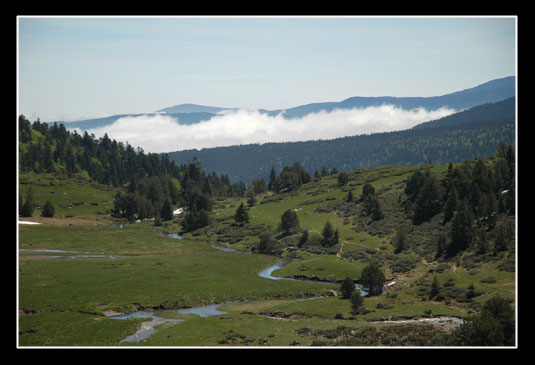 Vue sur la jasse