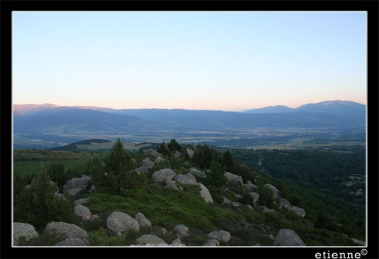 Tagassonne