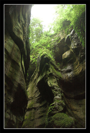 Gorges du Fier