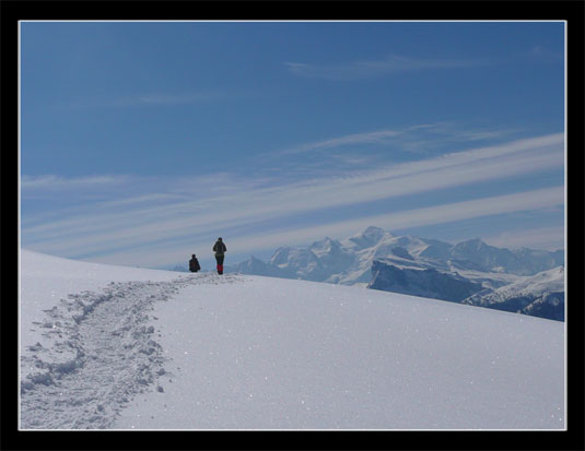 Vue sur le massif du Mont Blanc