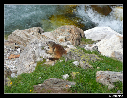 Traversée Petit / Grand Vignemale