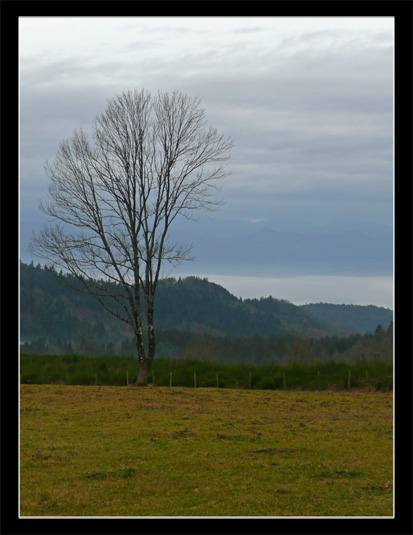 Boucle vélo de route