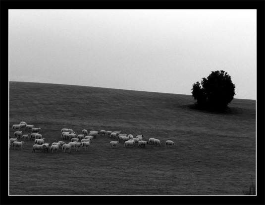 Boucle vélo de route