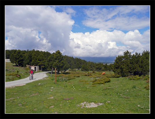 Descente Petit Train Jaune VTT