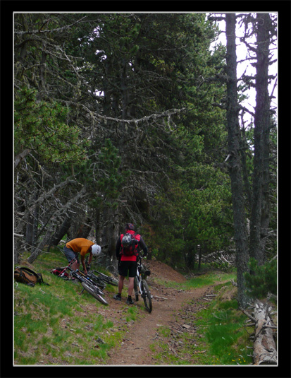 Descente Petit Train Jaune VTT