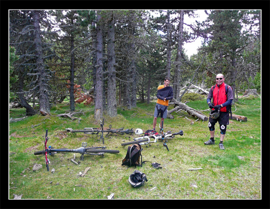 Descente Petit Train Jaune VTT