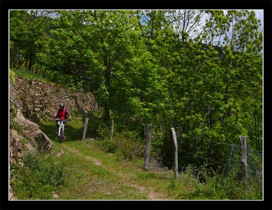 Descente Petit Train Jaune VTT