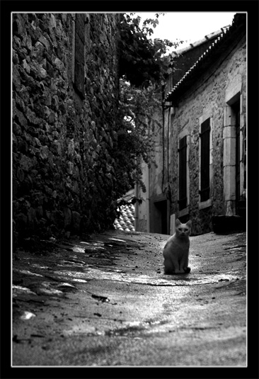Un weekend autour du Salagou