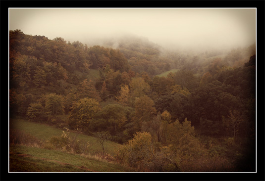 Balade d'automne