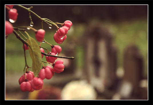 Balade d'automne