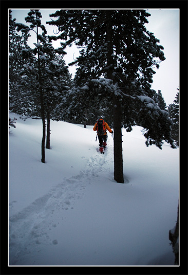 Bivouac Bouillouses - Carlit