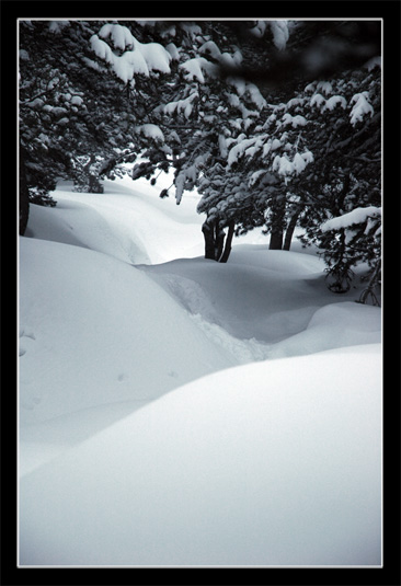 Bivouac Bouillouses - Carlit