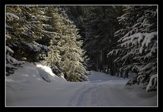 Bivouac Bouillouses - Carlit