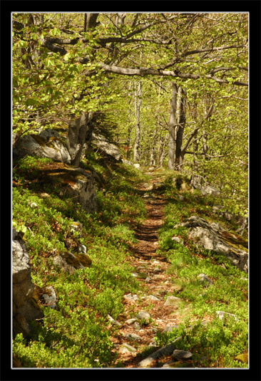 Un weekend rando dans le Haut Vallespir