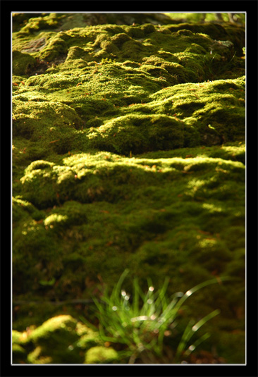 Un weekend rando dans le Haut Vallespir