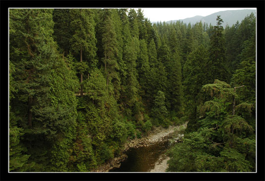 Capilano