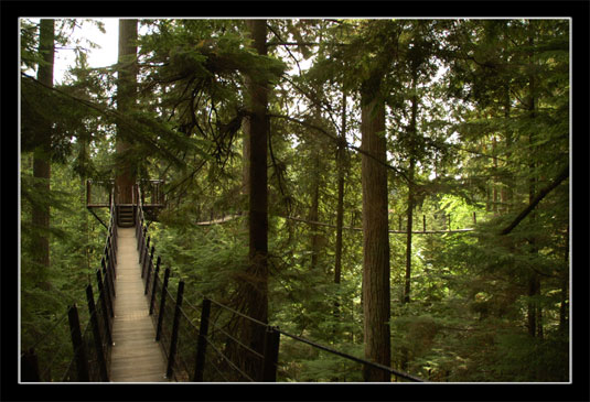 Capilano