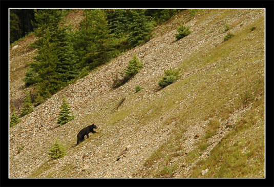 Yoho National Park