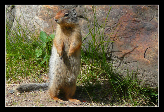 Yoho National Park