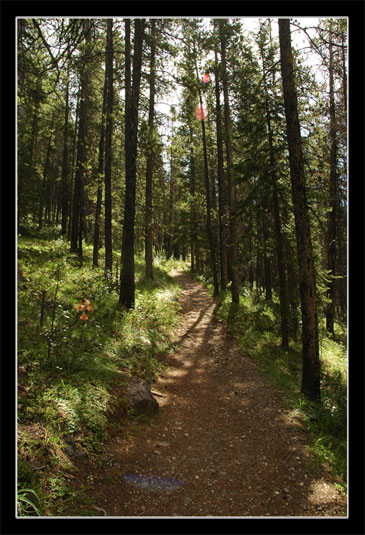 Le Mount Rundle