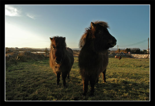 Connemara