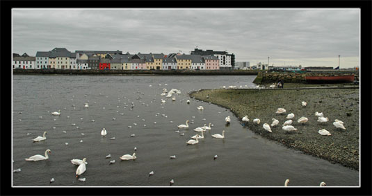 Galway