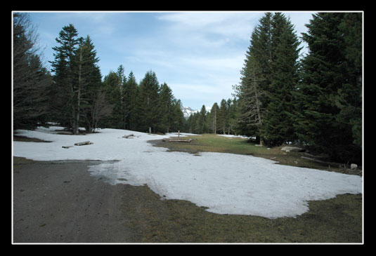 Plaine d'Artigues