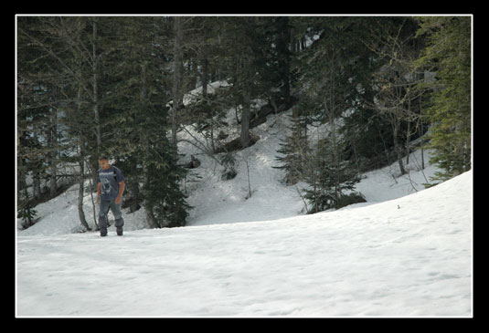 Momal dans la neige