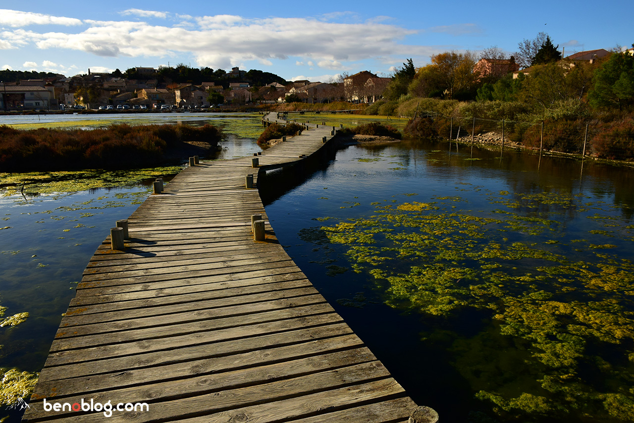 Balade d’automne à Peyriac-de-Mer