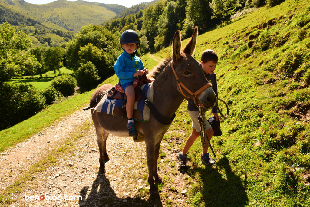 Randonnée avec un âne - Petits Pas Castet