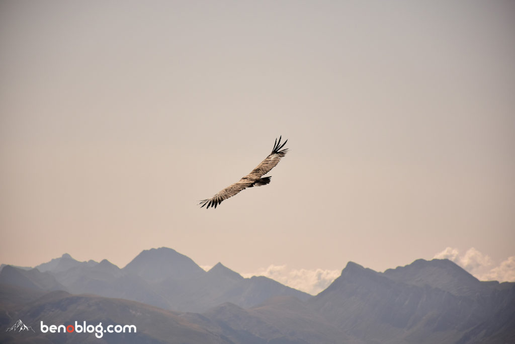 Ascension Pic d'Orhy été 2019