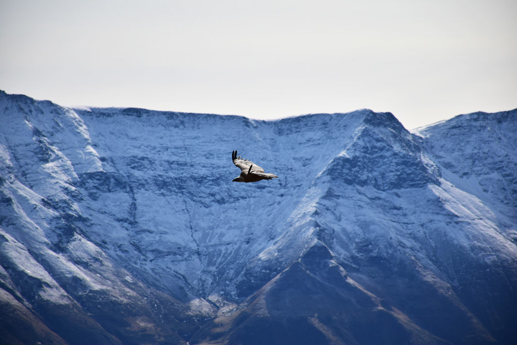 Pic de la Calabasse Couserans Ariège