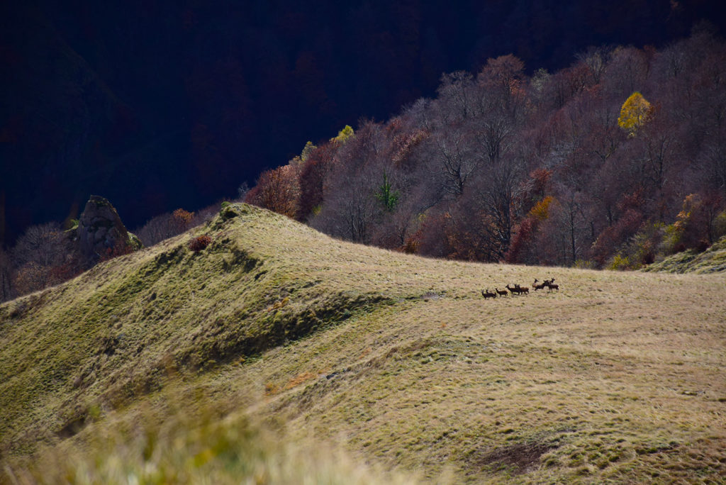 Pic de la Calabasse Couserans Ariège