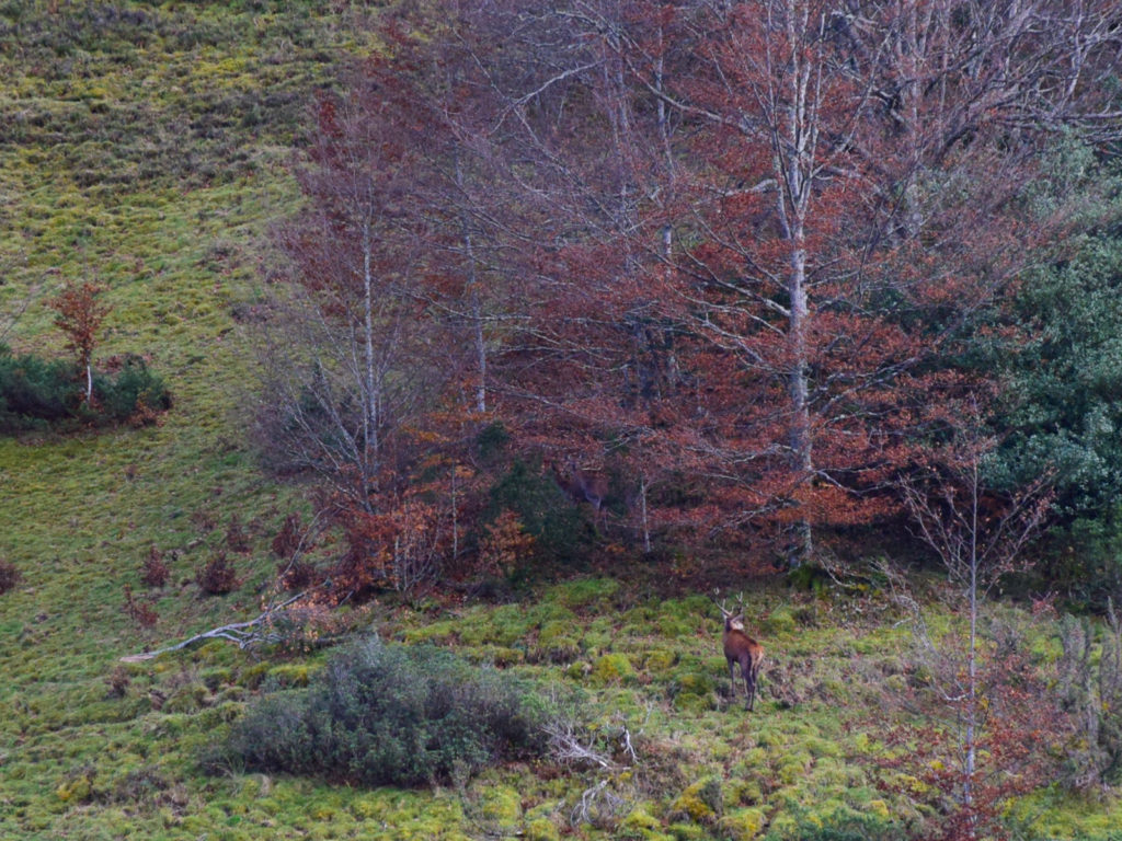 Pic de la Calabasse Couserans Ariège