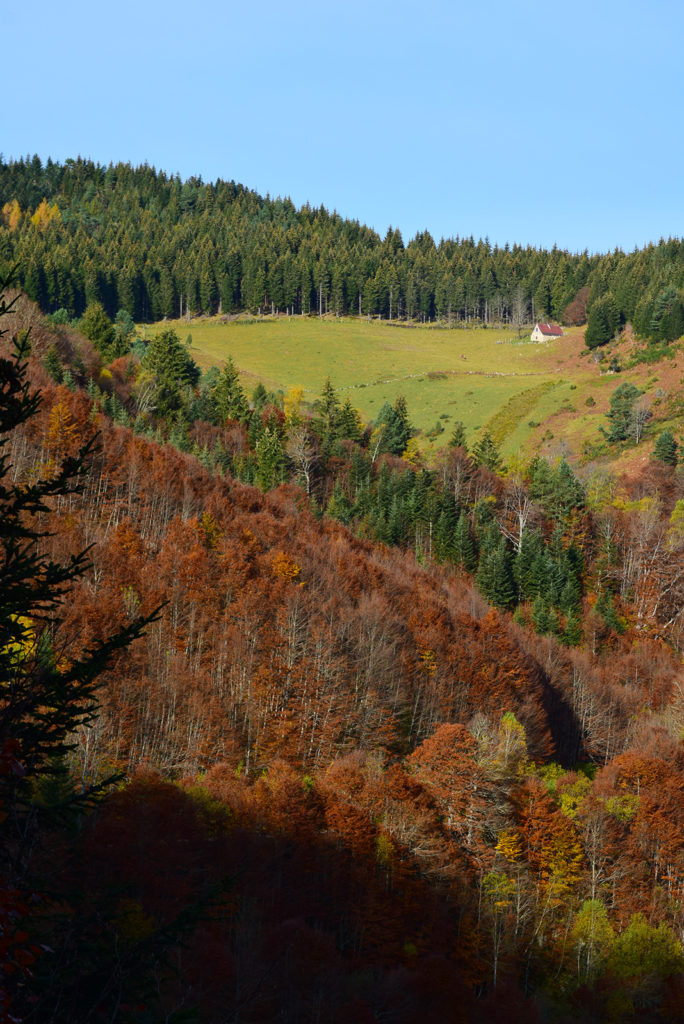 Lac de Bethmale et étang d'Ayes Ariège